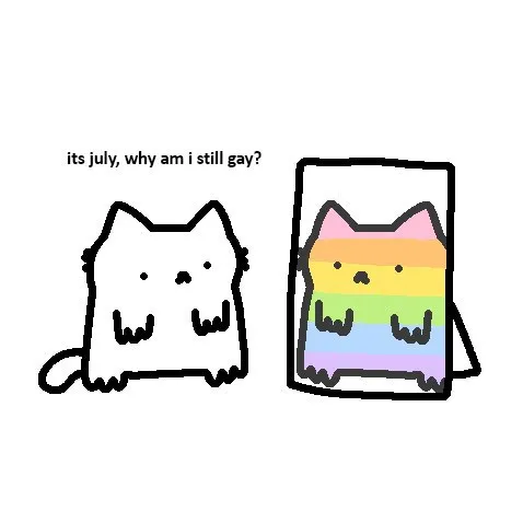 Why Am I Still Gay?