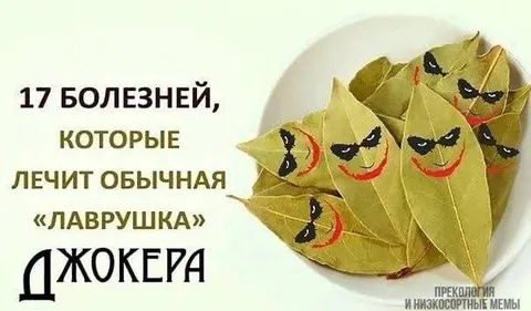 Лаврушка лечит 17 болезней