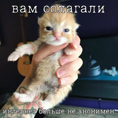 Вам солагали, интернет больше не аноним||||text
