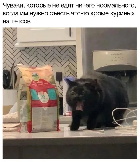 Куриные наггетсы — единственная нормальная еда