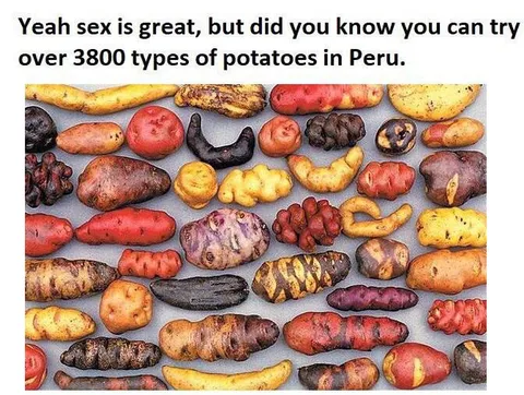 3800 Types of Potatoes
