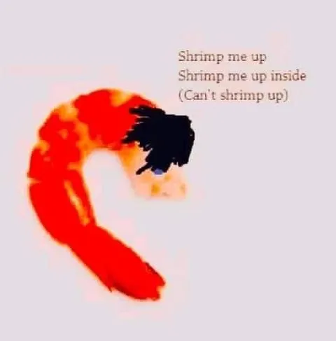 Shrimp Me Up Inside