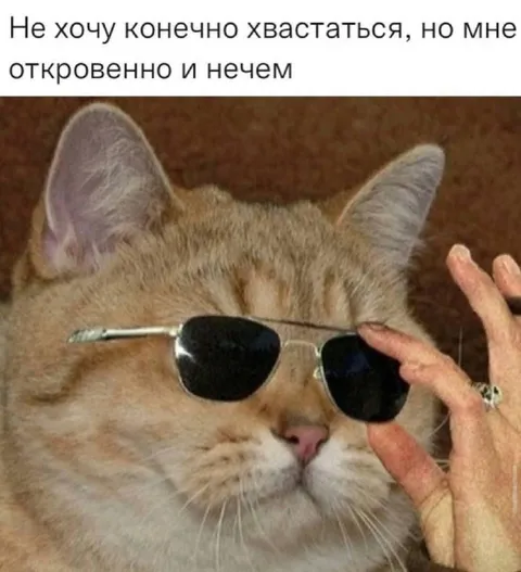 Кот, которому нечем хвастаться