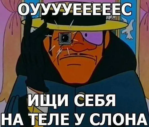 Ищи себя на теле у слона