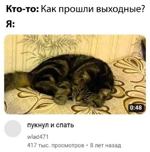 Пукнул и спать после выходных