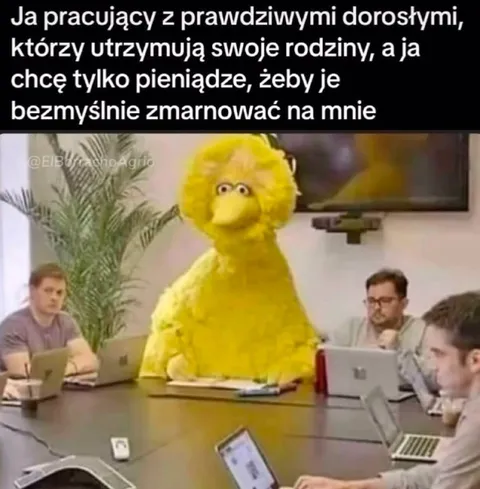 Pieniądze na bezmyślne marnowanie