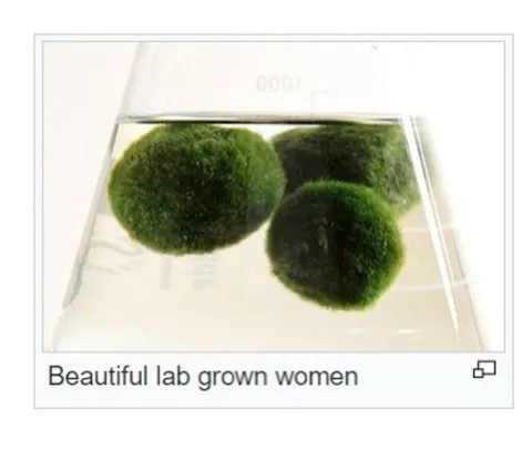 Beautifull Lab Grown Women