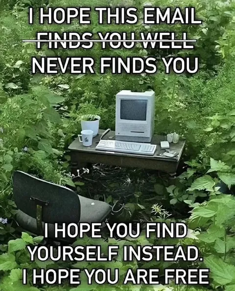 I Hope This Email Never Finds You