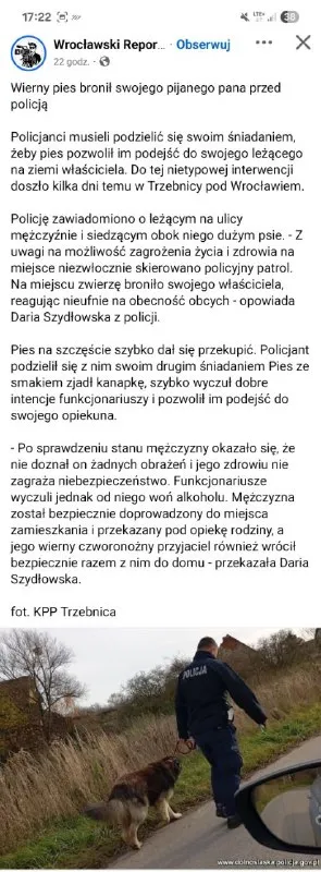 Pies broni pijanego pana
