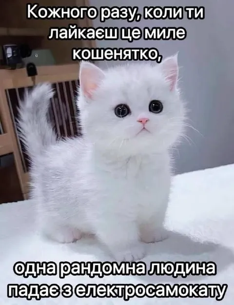 Кошенятко і падіння з самоката