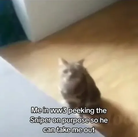 Cat Baits the Sniper in WW3