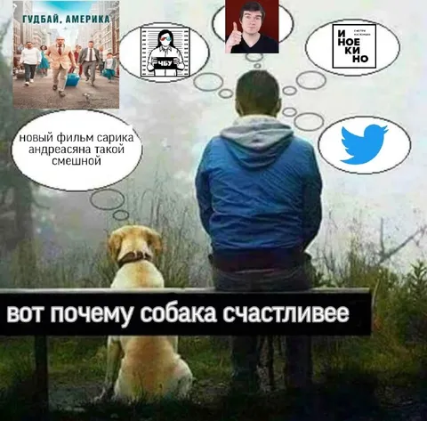 Вот почему собака счастливее