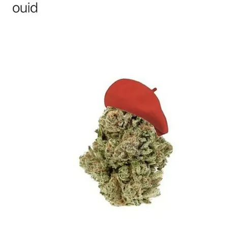 Weed in a Beret