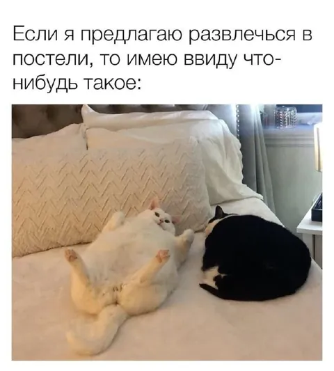 Развлечься в постели