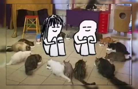Два человека среди кошек
