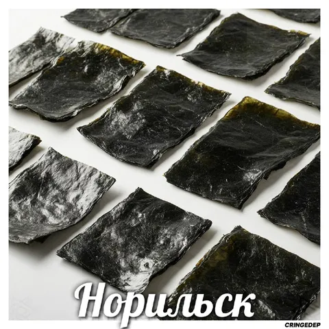 Норильск из листов нори
