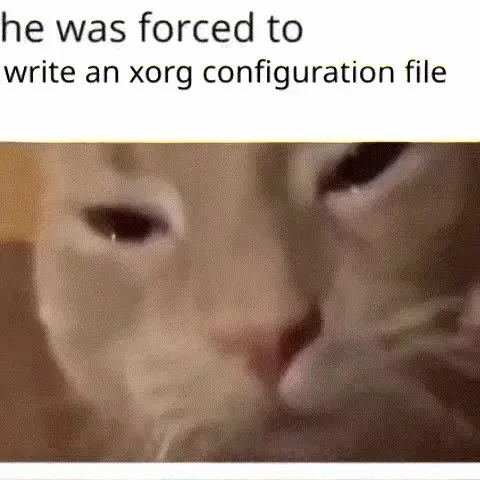 Cat Forced to Write Xorg Config