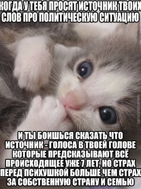 Голос в твоей голове