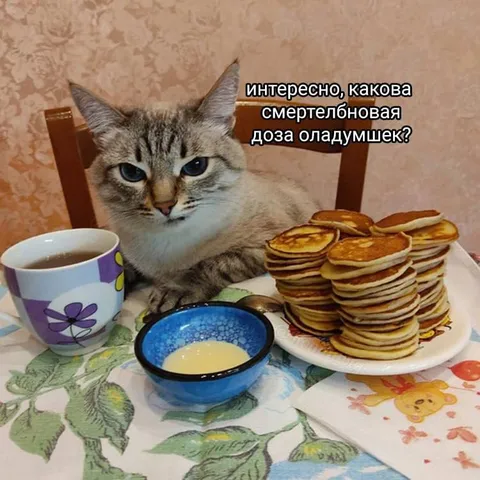 Смертельная доза оладушек