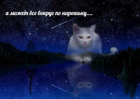 А может всё вокруг понарошку