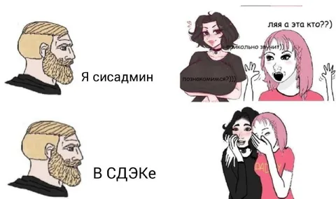 Я сисадмин в СДЭКе