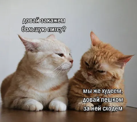 Большая пицца во время диеты