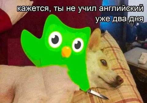 Ты не учил английский два дня
