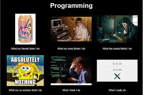 Programming Expectations vs Reality
