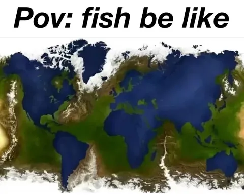 POV: Fish Be Like