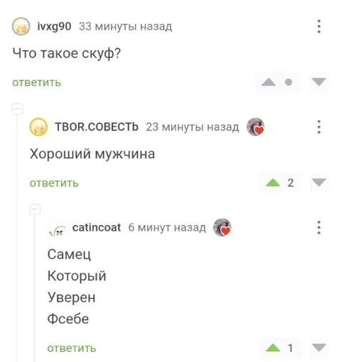 Расшифровка слова скуф