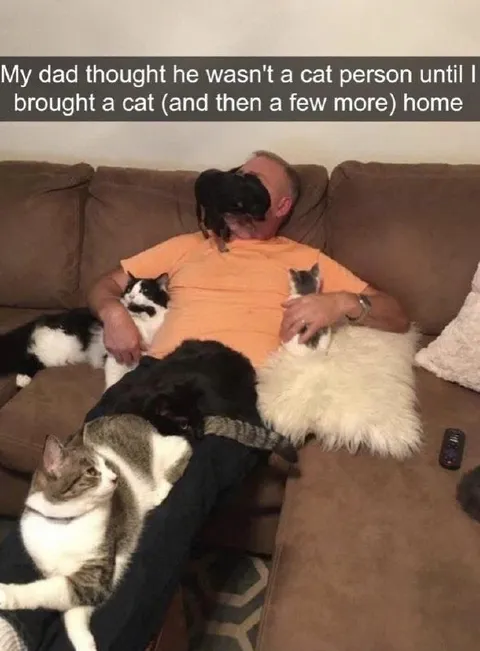 Dad Becomes a Cat Person