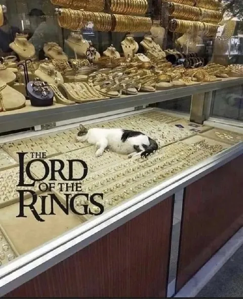 Cat in the Lord of the Rings