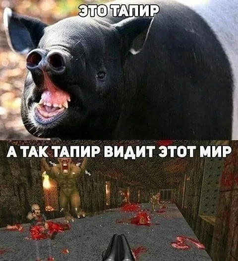 Тапир видит этот мир