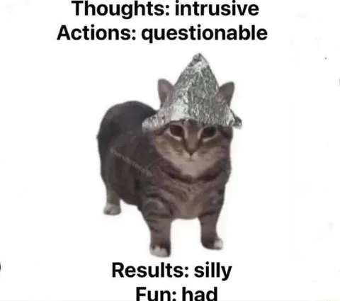 Intrusive Thoughts Silly Cat