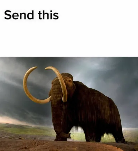 Send This Mammoth