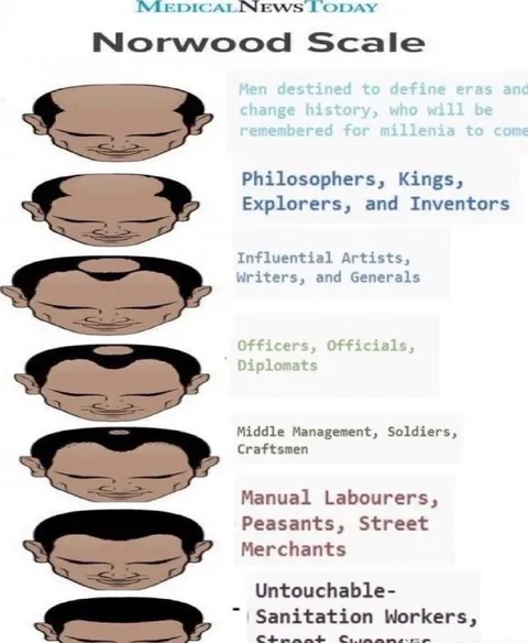 Norwood Scale Social Hierarchy