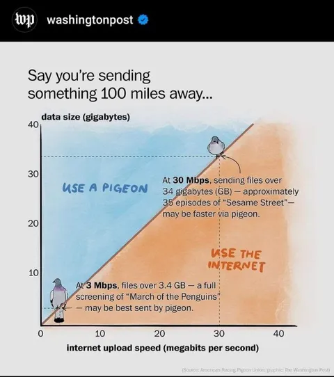 Use a Pigeon to Send Files