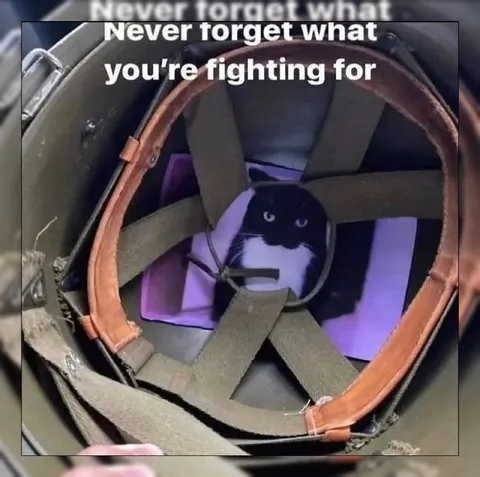 Never Forget What You’re Fighting For
