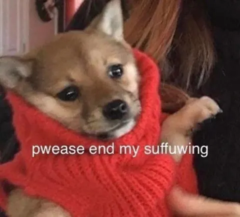Pwease End My Suffuwing Puppy