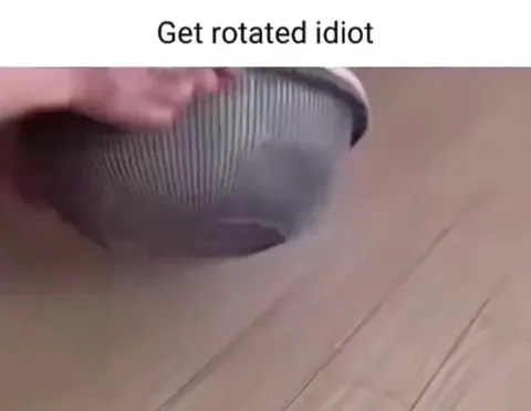 Get Rotated Idiot Cat