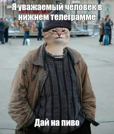 Уважаемый человек в Телеграме