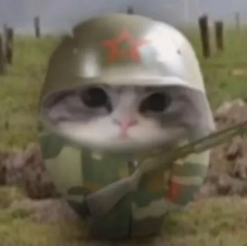 Кот-солдат в окопе
