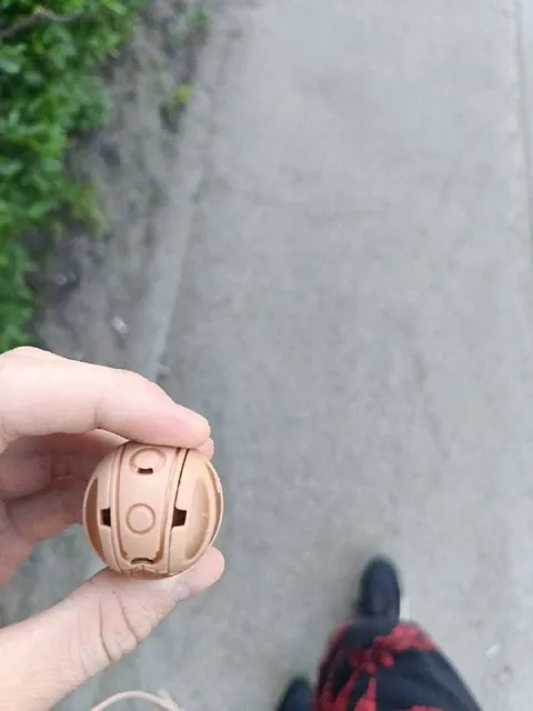 Нашёл живого Бакугана на улице
