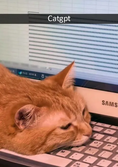 CatGPT Sleeping on Keyboard