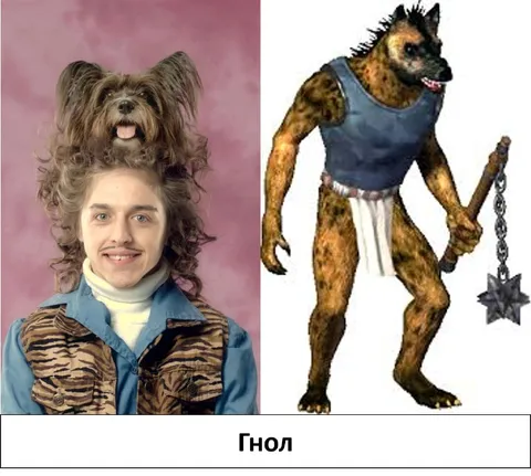 Томи Кэш и гнолл