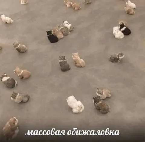 Массовая обижаловка котиков