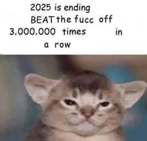2025 Is Ending Cat Reaction