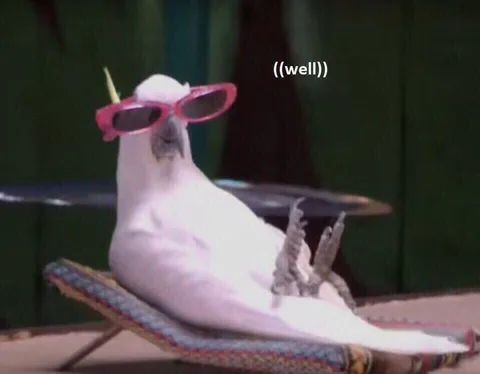 Well Pigeon in Sunglasses