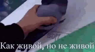 Как живой, но не живой голубь