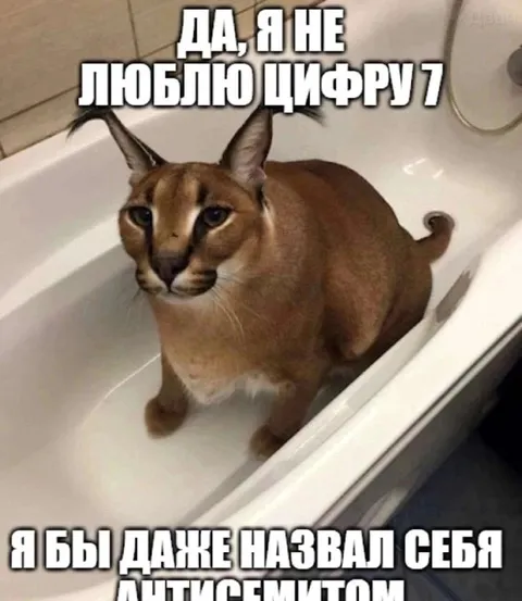 Кот не любит цифру семь
